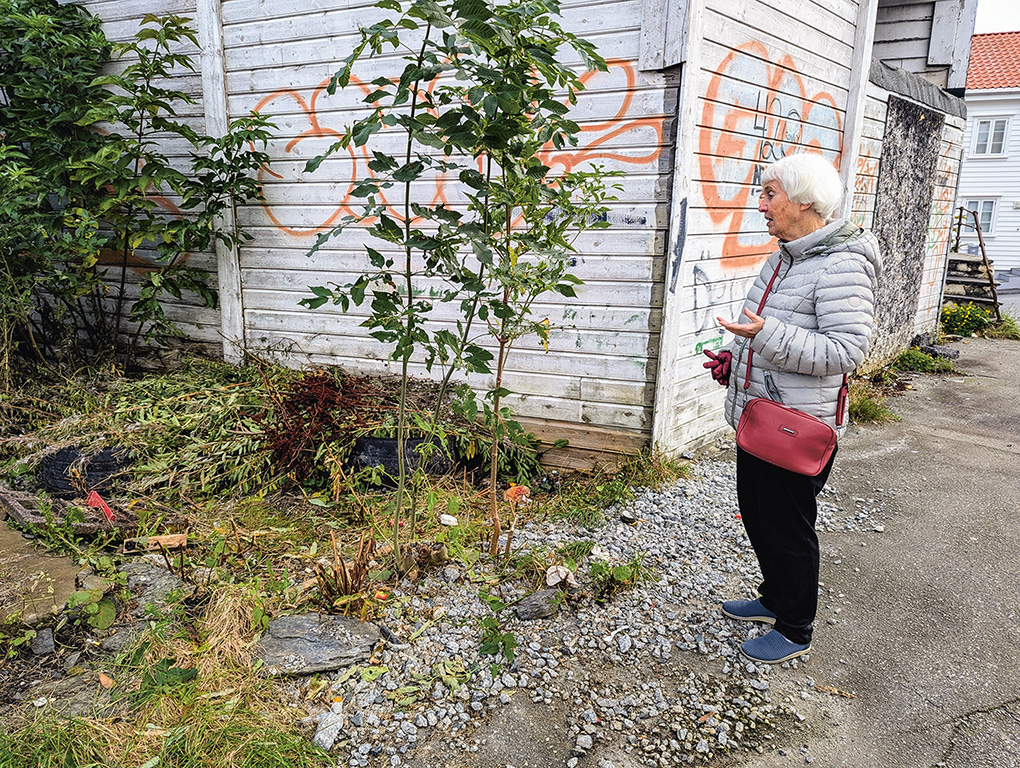 Akkurat her har jeg ryddet mye og ofte, forklarer Anja Berges. &ndash; Jeg fant en gang en hel kalkun.  Den hadde ligget s&aring; mange &aring;r at jeg var redd den skulle falle fra hverandre p&aring; vei til s&oslash;ppelkontaineren. Foto Sigrid B&aelig;kholt
