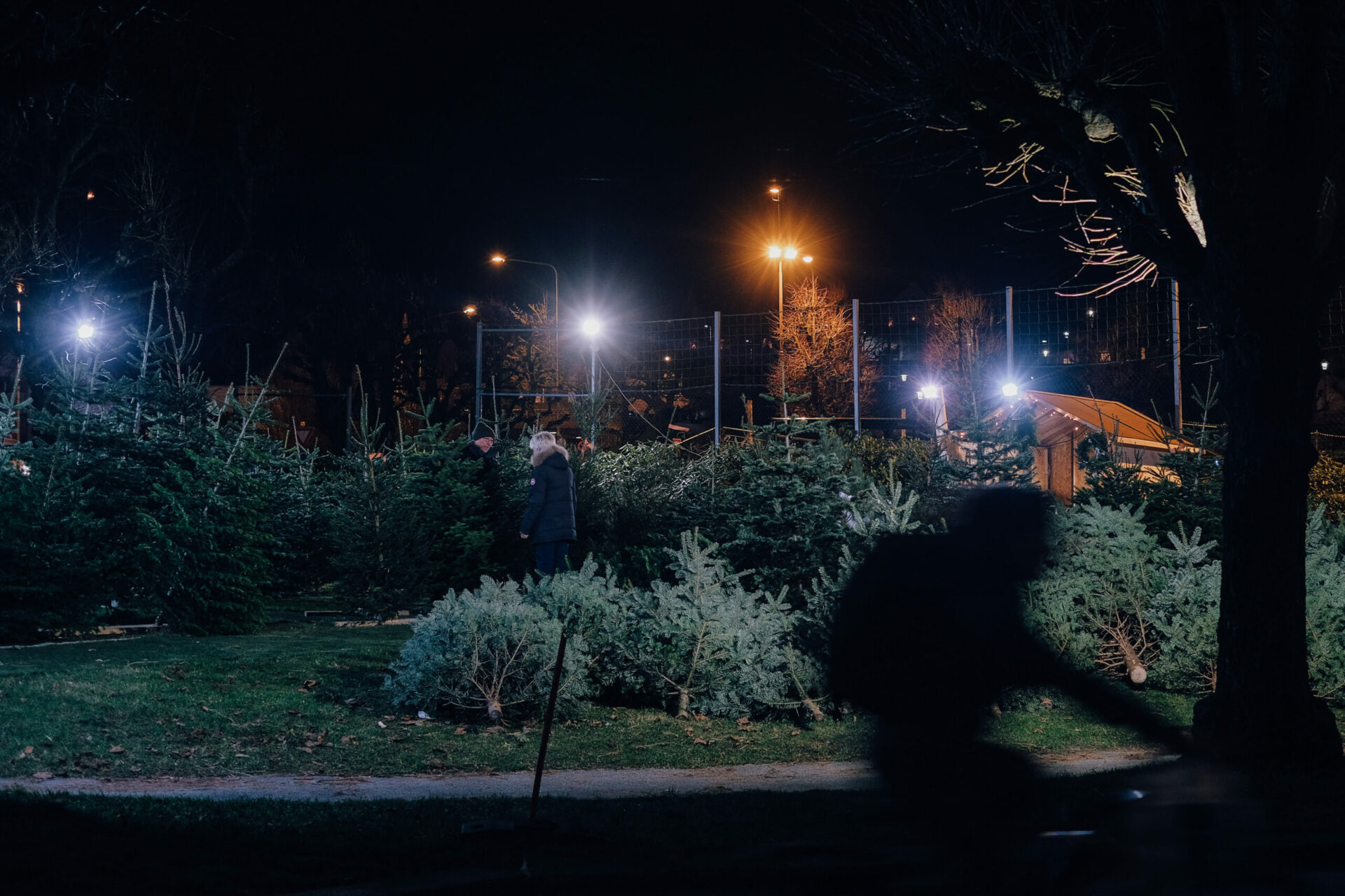 Foto: Ieva Paberzyte