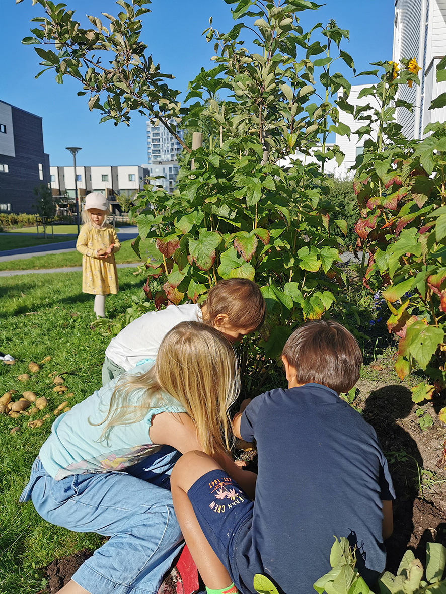 Innholdet i fellestunet har endret seg fra grønne busker til spiselige bær, frukt, grønnsaker og urter.