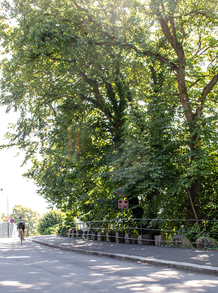 Det er nå bare ca 20 stabbesteiner igjen og de står opp langs Paradissvingen. Kanskje de bør beskyttes som minnesmerke eller noe? De er i hvert fall verdt å bevare - akkurat her - hvor de ble plassert for over 100 år siden, sier Hege Scheie Balle.