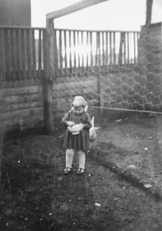 Else Thelin mater hønsene.