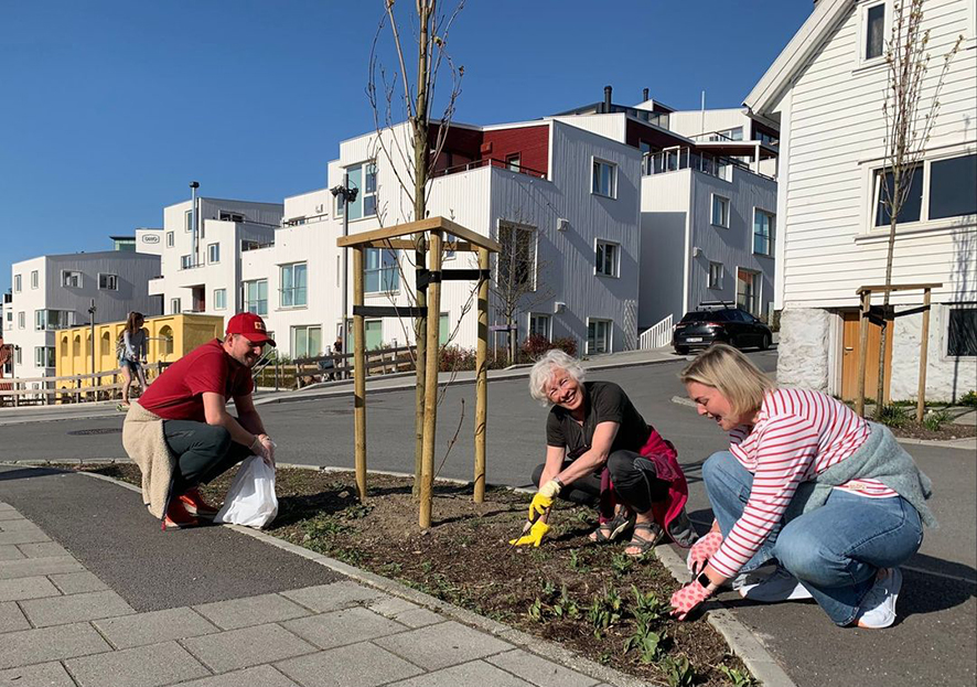 Vindmøllebakken bofellesskap og Sameiet Dokkgata 15 ryddet i sitt nærmiljø. Bildet er fra krysset Pedersgata/Støperigata.