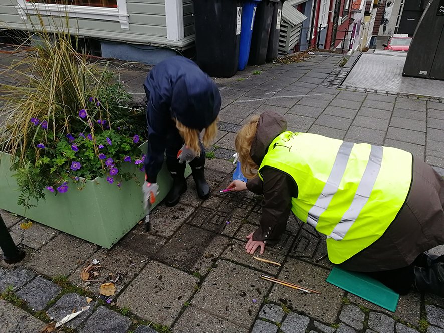 Ristninger av husenes fasader i fortauenes steinheller rengjøres grundig før de males røde. Foto Sigrid Bækholt