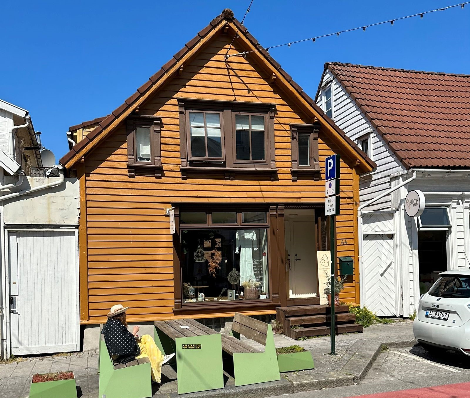 Bloom Concept/ We the bloom