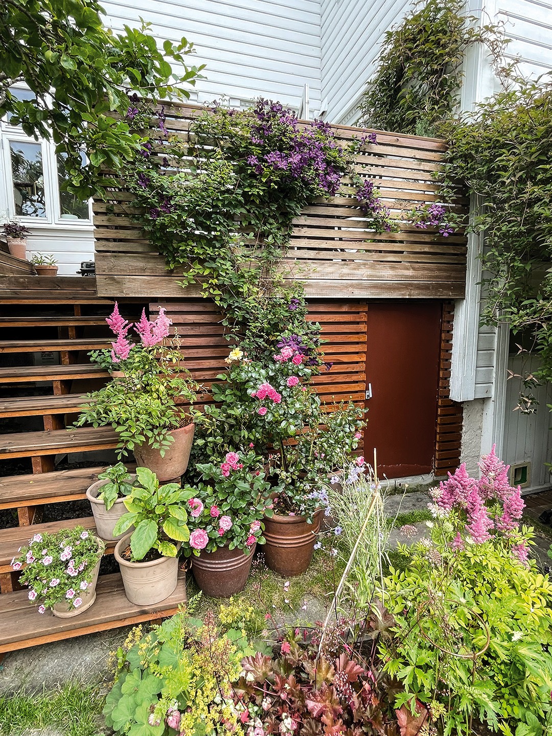 Trapper og terrasser i ulike høyder med blomster i alle varianter av fargeskalaen fra den lyseste rosa til den mørkeste lilla. Privat foto 2023.