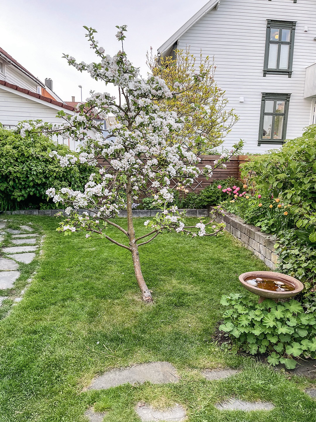 Fuglene elsker å ta seg en dukkert i fuglebadet. Det skaper liv og røre. Privat foto 2023.