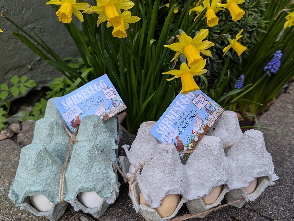 Sørnesegg fra lykkelige høner på Sørnestunet selges på Bondekompaniet. Foto Sigrid Bækholt