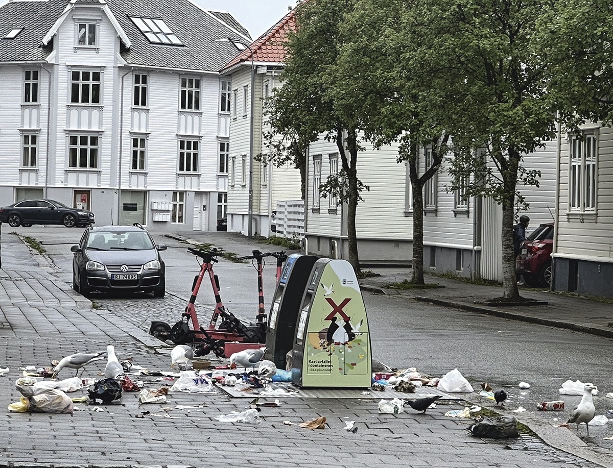 Fuglene sprer søppelet i Tårngata. Foto Ina Gundersen